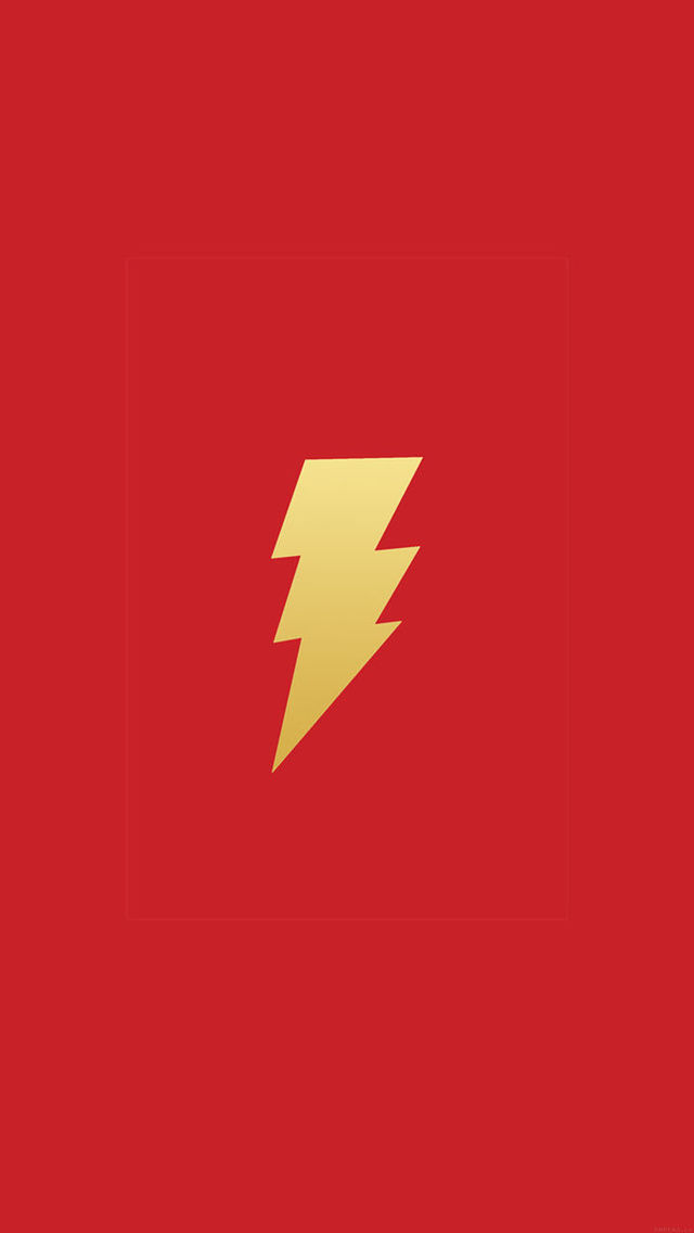 Flashavenger