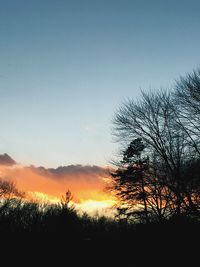 Silhouette of trees on landscape at sunset