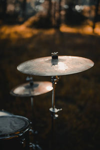 Close-up of cymbal in forest