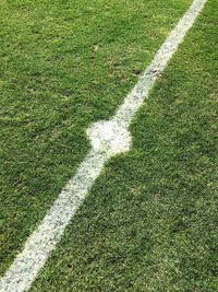 High angle view of soccer field