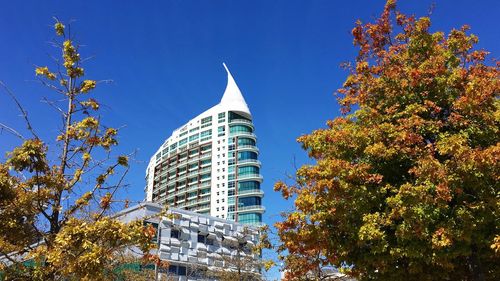 Low angle view of trees against sky during autumn