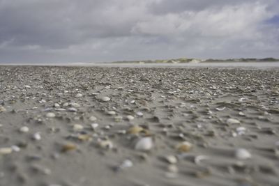 Surface level of pebble beach against sky