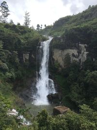 Scenic view of waterfall in forest