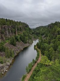 Scenic view of river amidst trees against sky