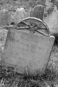 Close-up of abandoned grass