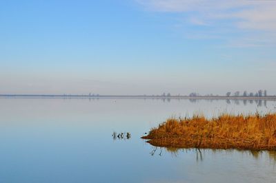 Scenic view of calm lake against blue sky