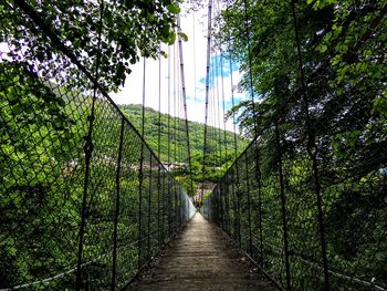 Footbridge amidst trees against sky