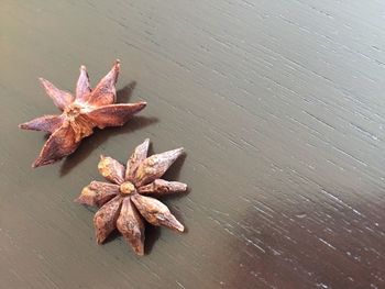 High angle view of maple leaf on table