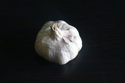 Close-up of half on table against black background