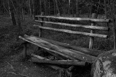 Bench in park