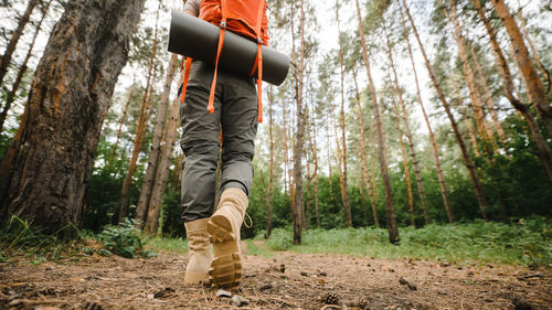 Low section of man standing in forest