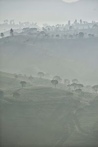 Aerial view of landscape against sky