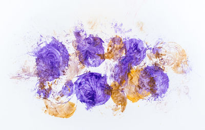 Close-up of multi colored umbrellas against white background