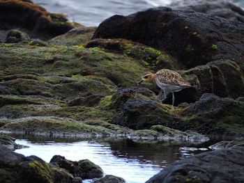 Scenic view of mountain against sky