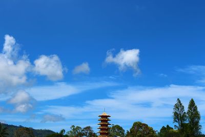 Low angle view of trees against blue sky