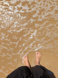 Low section of man standing on beach