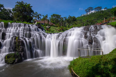 Scenic view of waterfall in forest