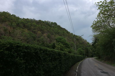 Road amidst trees against sky