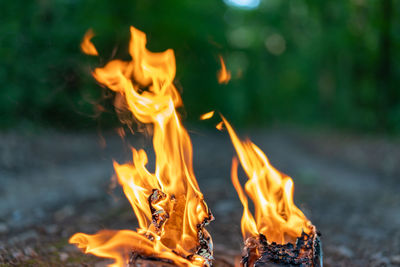 Close-up of bonfire