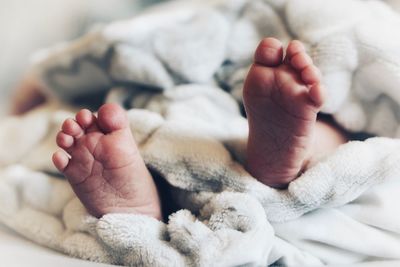 Low section of baby lying on bed