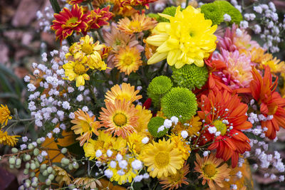 Close-up of yellow flowering plants