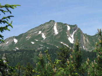 Low angle view of tree mountain against sky