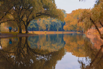 Reflection of trees in lake against sky