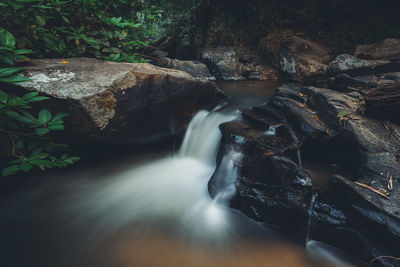 Stream flowing through rocks in forest