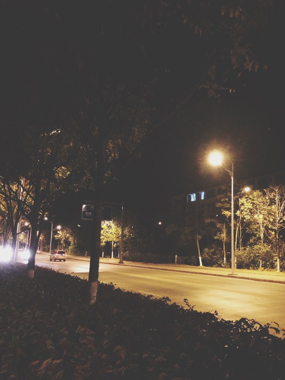 night, tree, street light, illuminated, lighting equipment, tranquility, street, nature, road, growth, park - man made space, sky, outdoors, tranquil scene, dark, silhouette, no people, clear sky, light - natural phenomenon, transportation