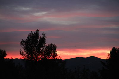 Silhouette trees against dramatic sky at sunset