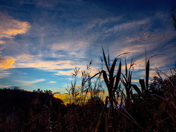 sky