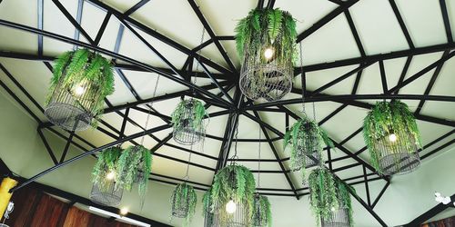 Low angle view of illuminated pendant lights hanging from ceiling