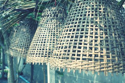 Close-up of plants in front of building