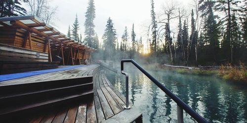 Liard hot spring, british columbia, canada