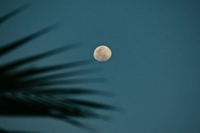 Low angle view of moon in sky at night