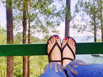 Low section of woman relaxing on tree trunk