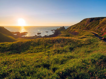 Summer sunset giants causeway coastline,northern ireland