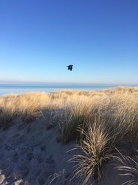 Scenic view of land against clear sky during winter