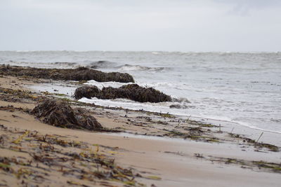 Scenic view of beach against sky