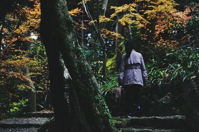 Rear view of woman walking in forest