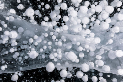 Close-up of snow on land