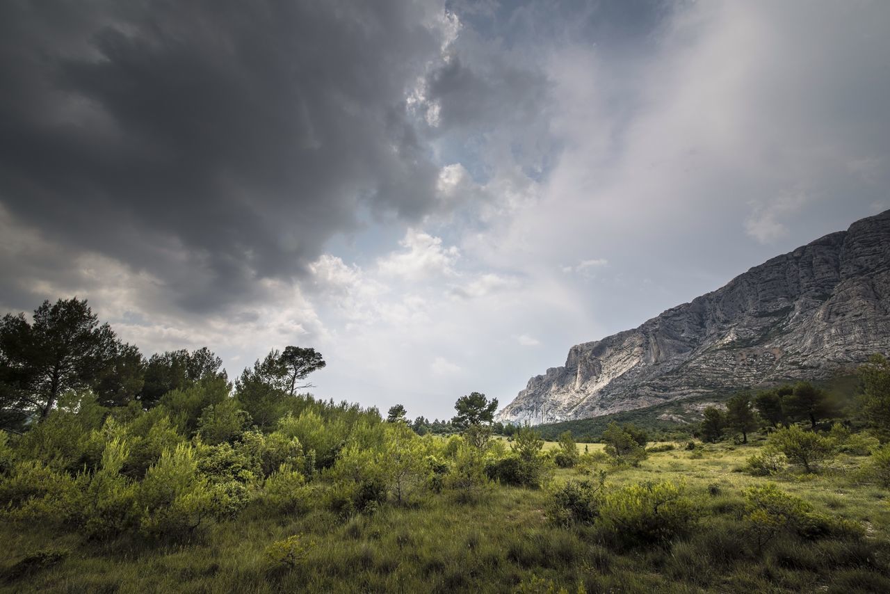 sky, tranquil scene, tranquility, scenics, landscape, mountain, cloud - sky, beauty in nature, grass, nature, tree, cloud, cloudy, green color, growth, non-urban scene, plant, idyllic, field, day