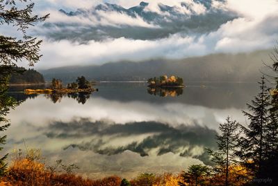 Reflection of trees in lake against sky