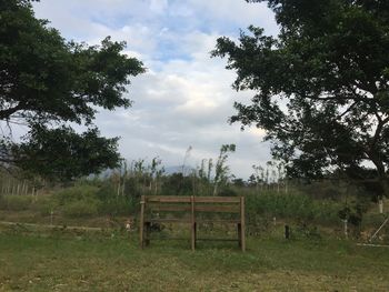 Trees on field against sky