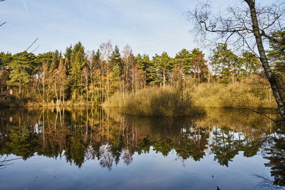 Reflection of trees in lake against sky