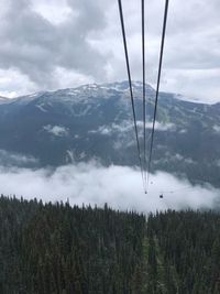 Plants growing on mountain against sky