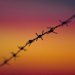 Low angle view of barbed wire