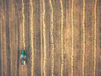 Directly above shot of tractor on farm