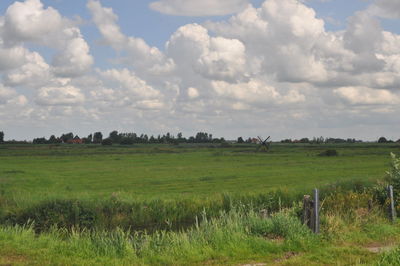 Scenic view of field against sky