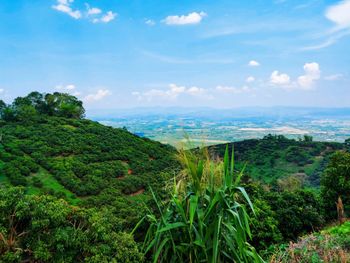 Scenic view of landscape against sky